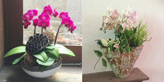 セミオーダーも承ります!オシャレな寄せ植え・観葉植物