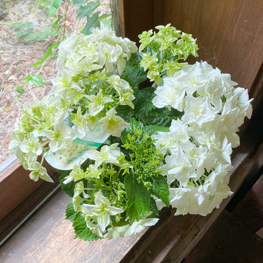 ご注文はお早めに!父の日まで1週間...お酒とお花の父の日ギフト