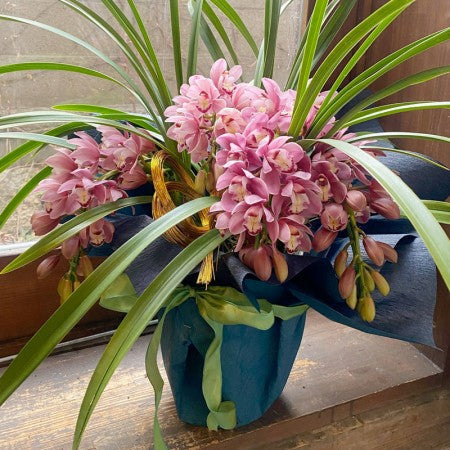 お正月のお花のプレゼント!先輩や両親へお年賀を配送