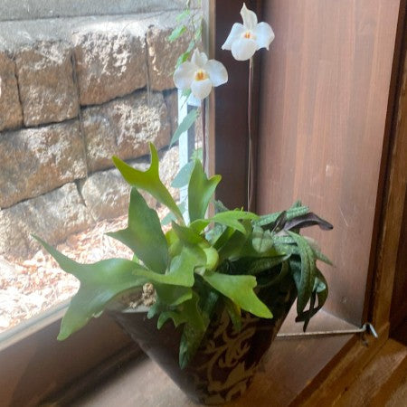 2022年敬老の日ギフトガイド お茶とお花 酒と花ギフト