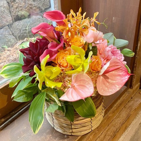 入学、引越しのお祝いに！素敵なお花のアレンジメントや寄せ植えギフト