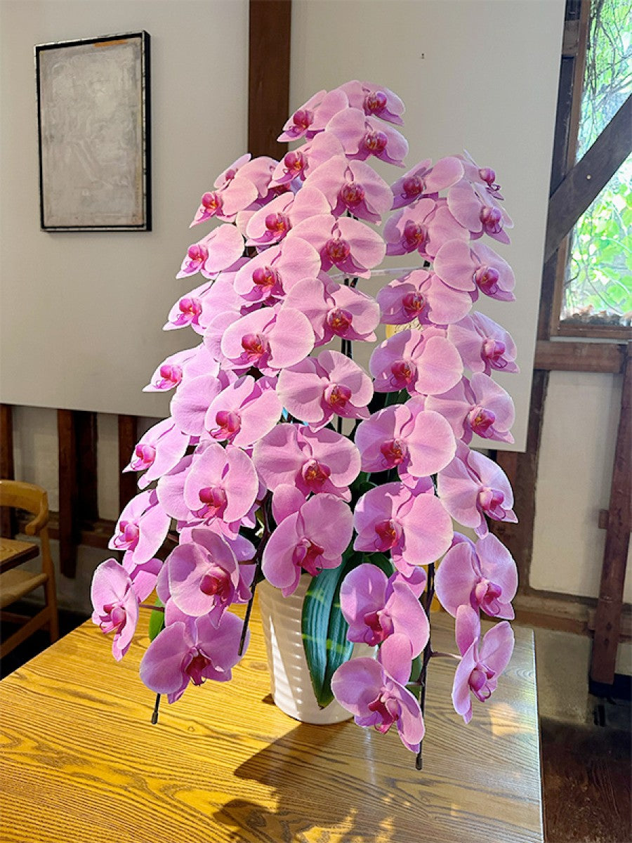 社長就任祝い、会社設立祝いに！豪華な胡蝶蘭 3本立て ピンク