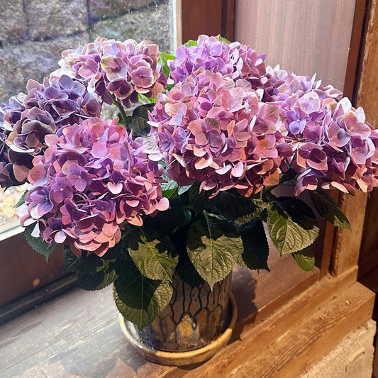 紫陽花ギフト　パープル　紫色